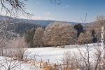 Ardennen - Winter - Schnee (15).jpg