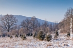 Ardennen - Winter - Schnee (10).jpg